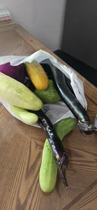 신매낚시터 8월 12일 조황