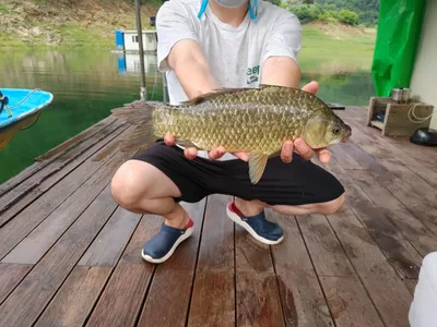 제천 용곡리 김기호 낚시터 조황정보 입니다