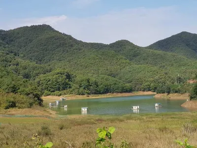 실리곡낚시터 조황입니다.