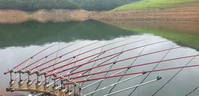 솔낚시터 조황입니다