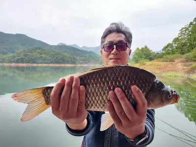 돌감낚시터 44.4cm 붕어조황입니다.