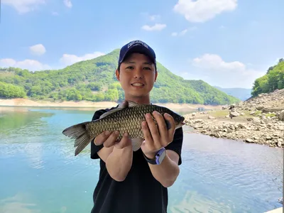 충주호목벌낚시터소식