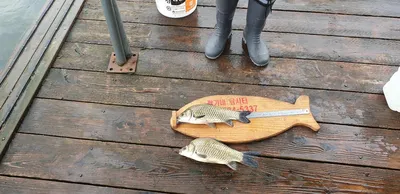 충주호 짱가네낚시터 