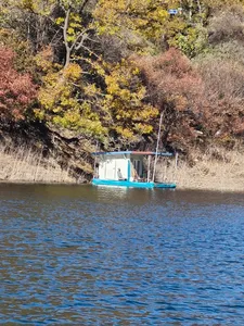 사오리 낚시터 조황정보