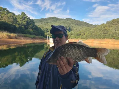 돌감낚시터 4짜 조황입니다.