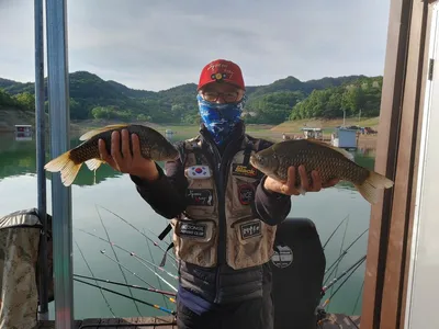 돌감낚시터 붕어조황입니다.