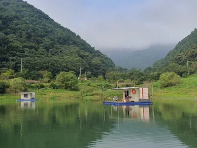용곡 김기호 낚시터 조황정보 입니다