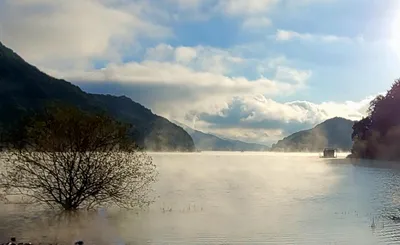 단풍과 물안개의 만남