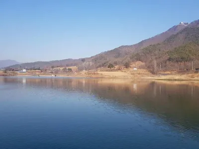 한버들 조황입니다