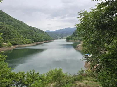 청풍실리곡낚시터 조황입니다.