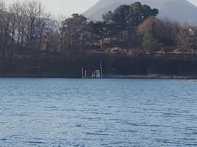 청풍 한버들 조황입니다