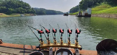 신매낚시터 6월 10일조황