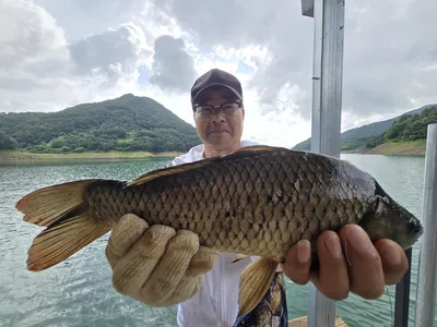 목벌낚시터 조황정보
