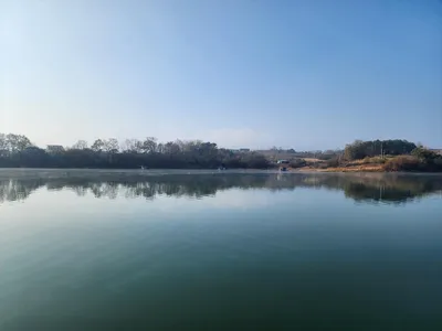 청풍 한버들 4짜및 허릿급 조황입니다