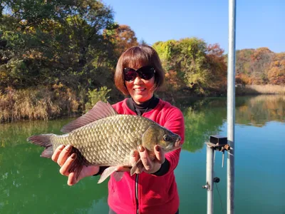 돌감낚시터 붕어4짜 조황입니다.