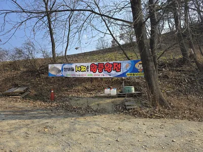 청풍 한버들 조황입니다