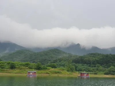 솔낚시터 주말 사짜 조황소식 전합니다.