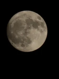 청풍 한버들 조황입니다