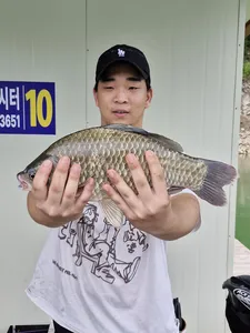 사오리낚시터 조황정보