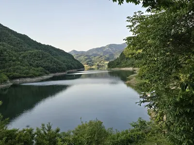 청풍실리곡낚시터 42cm 조황입니다.