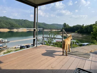 솔낚시터 주말 사짜 조황소식입니다.