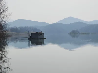 청풍 한버들 4짜 조황입니다
