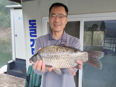 돌감낚시터 조황 및 신축 대좌대 오픈