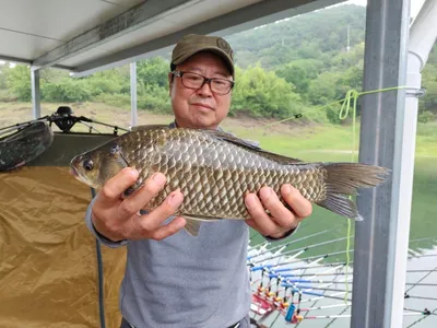 돌감낚시터 4짜 붕어 조황입니다.
