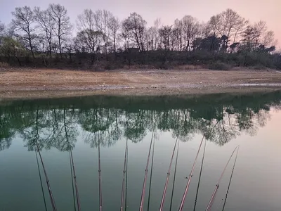 청풍 한버들 낚시터 첫 조황입니다