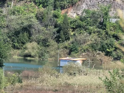 청풍실리곡낚시터  허리급 5수입니다.