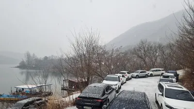 솔낚시터 조황 소식입니다.