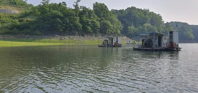 신매낚시터 5월 13일조황 