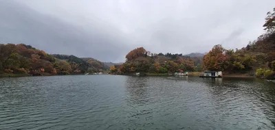 신매낚시터 11월 01일조황