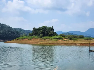 청풍 한버들 4짜 행진은 계속됩니다