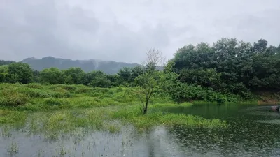 솔낚시터 조황 소식입니다.