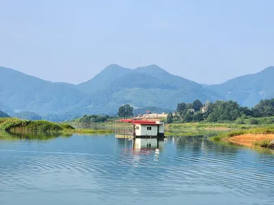 청풍 한버들 조황입니다