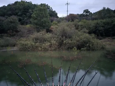 청풍 한버들 조황입니다