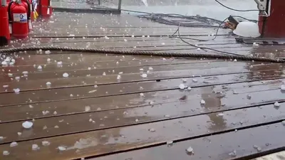 신매낚시터 6월 11일조황 