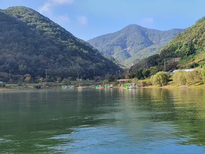 용곡 김기호 낚시터 조황정보 입니다