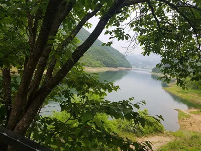 실리곡낚시터 허리급 조황입니다.