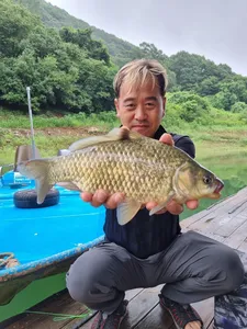 사오리 낚시터 조황정보