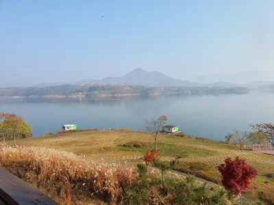 용곡 김기호 낚시터 조황정보 입니다