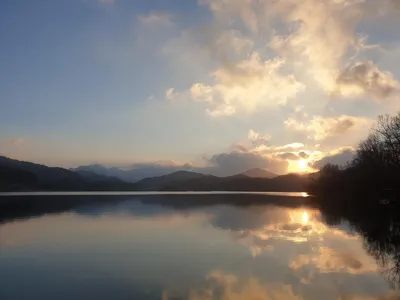 청풍 한버들 허리급및 월척들 호조황입니다