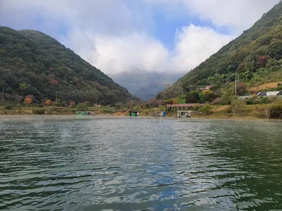 용곡 김기호 낚시터 조황정보 입니다