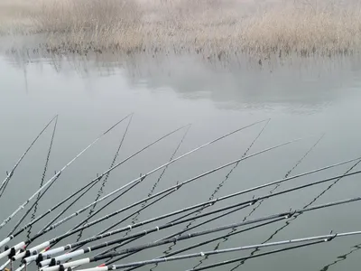 청풍 실리곡낚시터 42.5cm입니다.