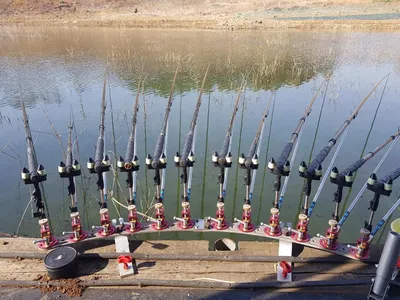 한버들 조황입니다