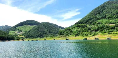 시원한 여름 힐링을...