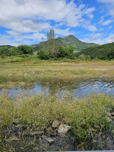 오랜만에 인사드립니다!