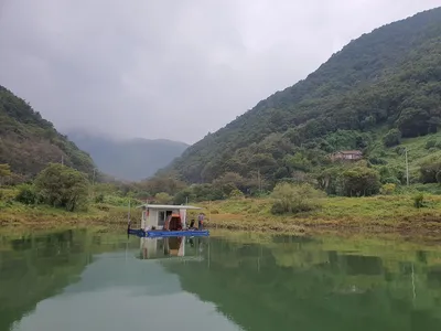 용곡 김기호 낚시터 조황정보 입니다