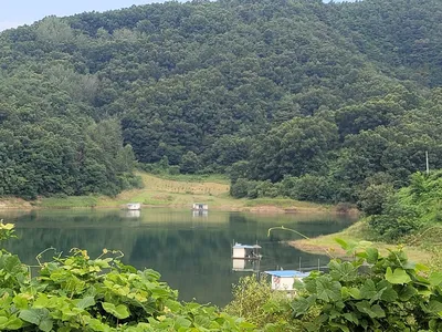 실리곡낚시터  조황입니다.